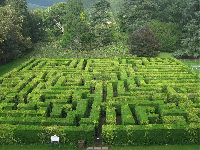 Traquair House Maze, from Wikipedia